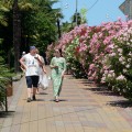Гостиницы курортов Кубани забронированы на майские на 50%